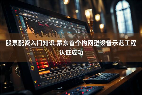 股票配资入门知识 蒙东首个构网型设备示范工程认证成功