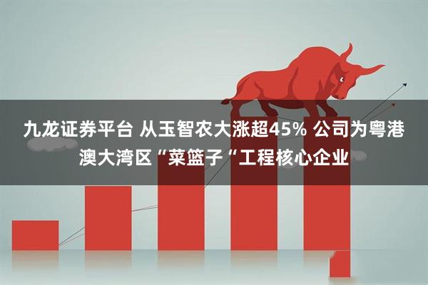 九龙证券平台 从玉智农大涨超45% 公司为粤港澳大湾区“菜篮子“工程核心企业