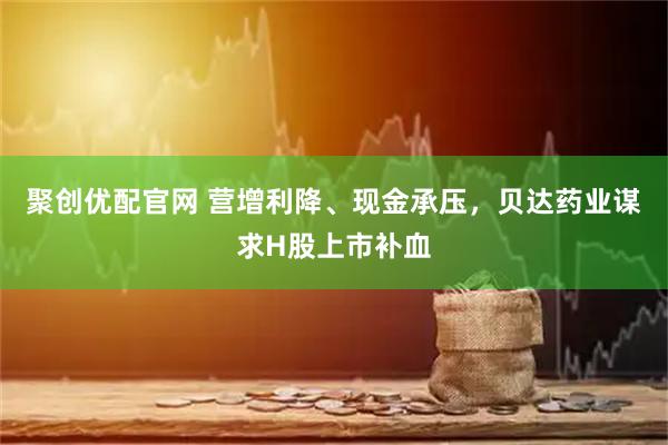 聚创优配官网 营增利降、现金承压，贝达药业谋求H股上市补血