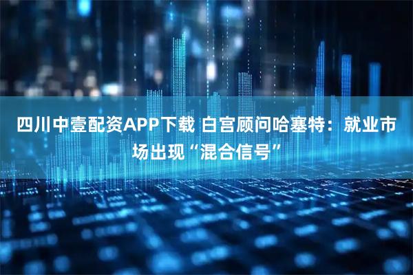 四川中壹配资APP下载 白宫顾问哈塞特：就业市场出现“混合信号”