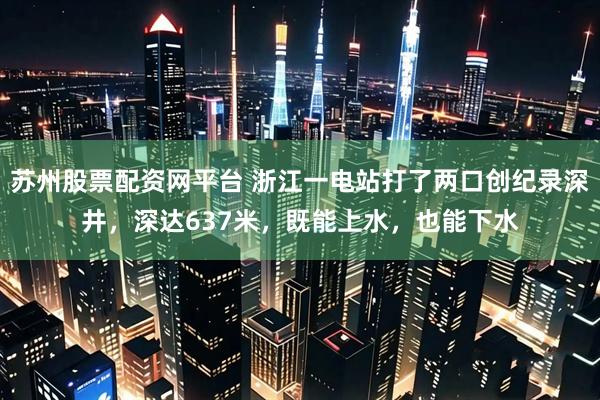苏州股票配资网平台 浙江一电站打了两口创纪录深井，深达637米，既能上水，也能下水